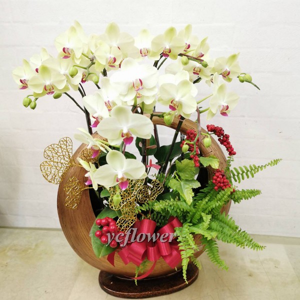 桌上型哇沙米黃花紅心蘭花加造型花器- 永春花苑永吉店(嘉嘉屋花坊)(新 